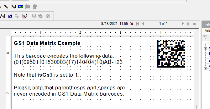 GS1 Data Matrix in Crystal Reports | BarCodeWiz