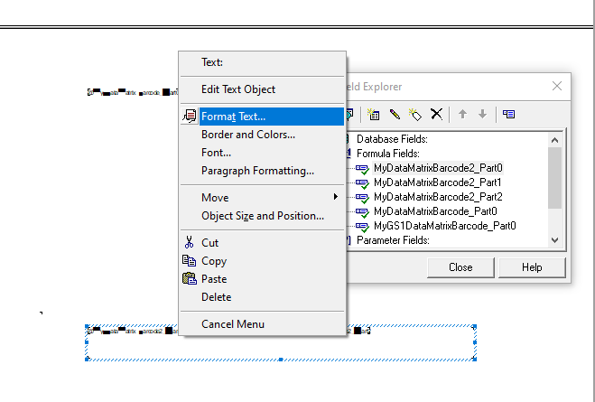  Select Format Text to edit all the details of your formula for Data Matrix barcode