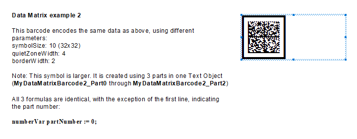 Preview of the finished report with Data Matrix barcodes in it