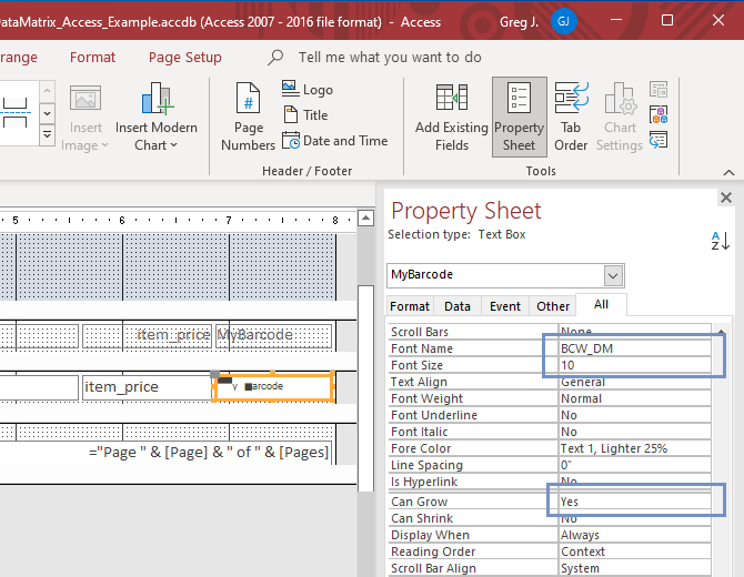 Setting the properties of TextBox  so that Data Matrix Barcode was displayed properly.